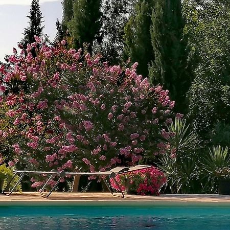 Villa Isabelle Barraca de Aguas Vivas Exterior foto